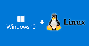 Windows 10 and Linux